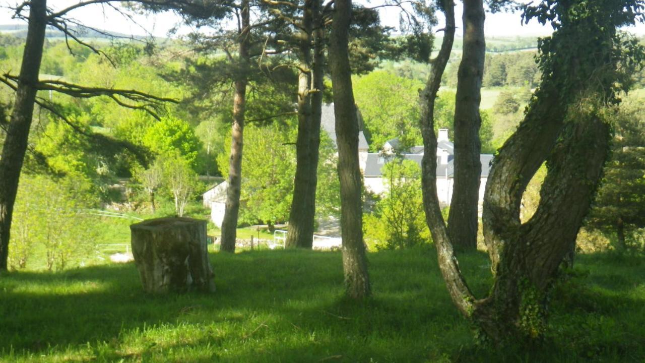 Mas De La Boheme - L'Hermet Saint-Léons 외부 사진
